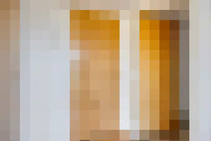 Weijen 67 Nistelrode thumbnail 43