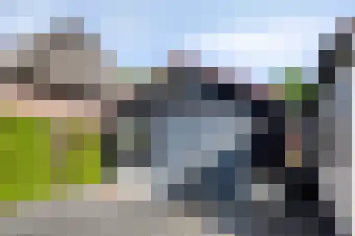 Weijen 67 Nistelrode thumbnail 46