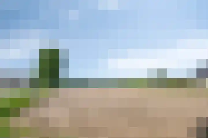 Weijen 67 Nistelrode thumbnail 47