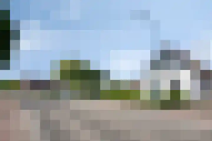 Weijen 67 Nistelrode thumbnail 48