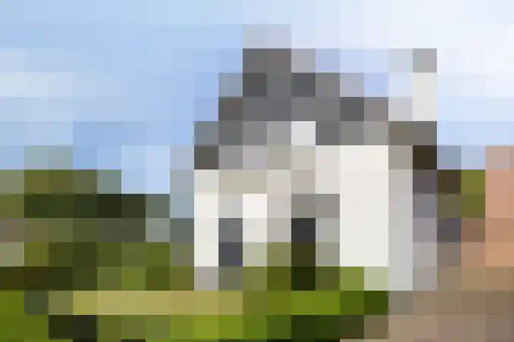 Weijen 67 Nistelrode thumbnail 50