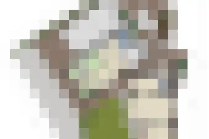 Weijen 67 Nistelrode thumbnail 52