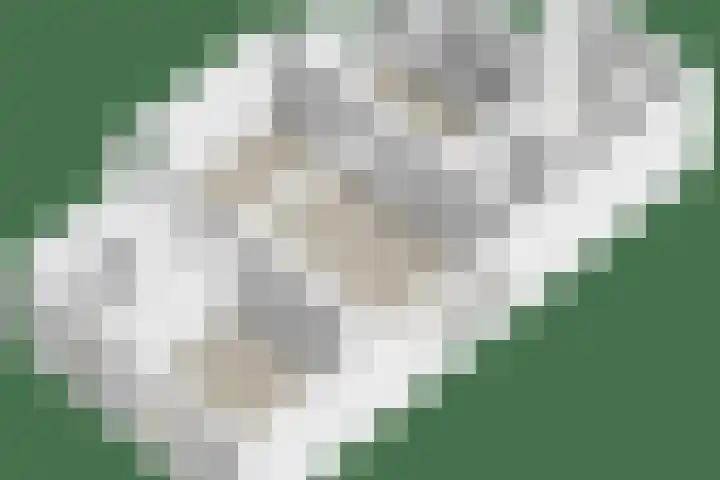 Weijen 67 Nistelrode thumbnail 55