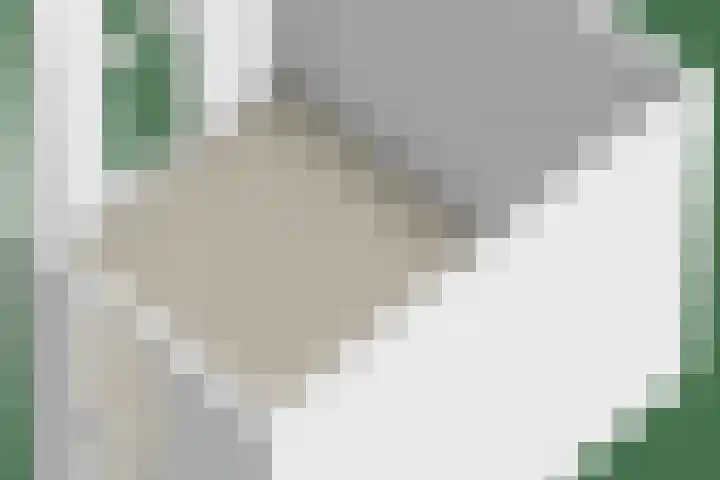 Weijen 67 Nistelrode thumbnail 65