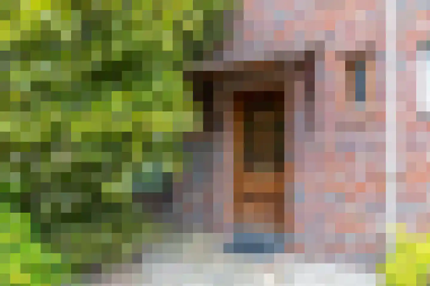 Weijenbergstraat 35 Hoensbroek thumbnail 23