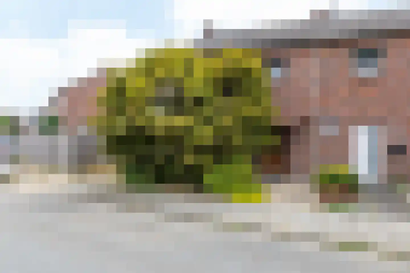 Weijenbergstraat 35 Hoensbroek thumbnail 25