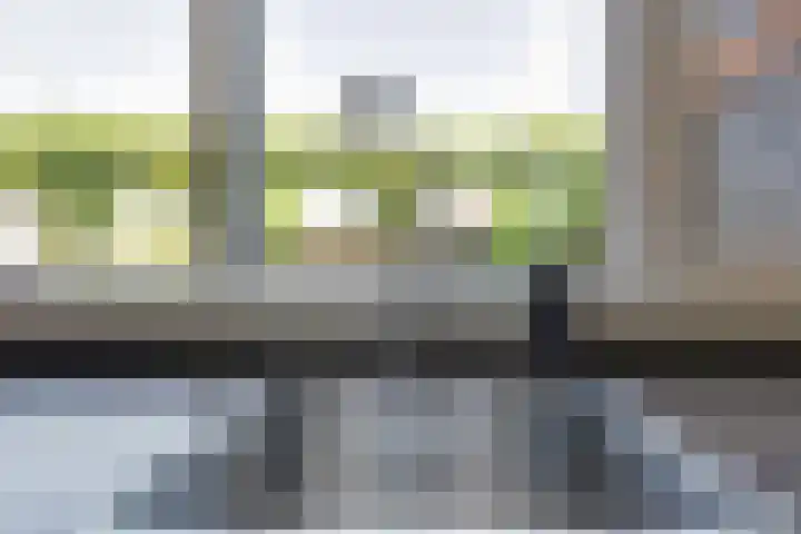 Weijenborgerdijk 49 Lichtenvoorde thumbnail 19