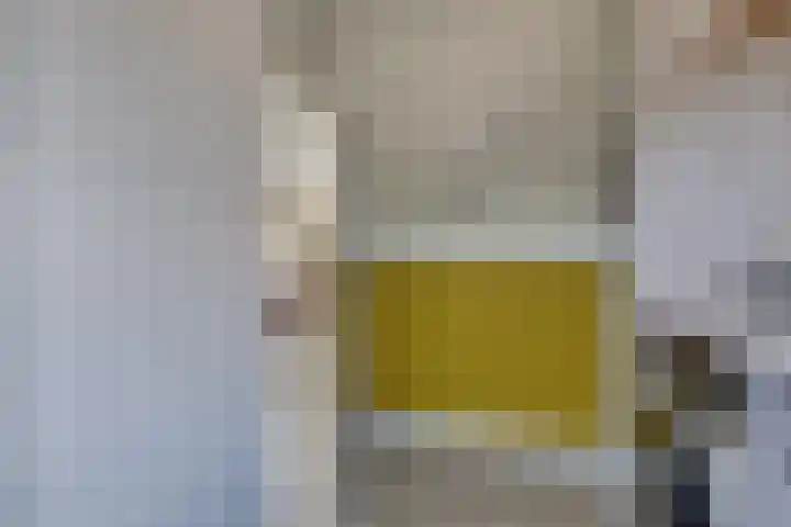 Weijenborgerdijk 49 Lichtenvoorde thumbnail 20