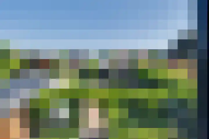 Weijenborgerdijk 49 Lichtenvoorde thumbnail 31