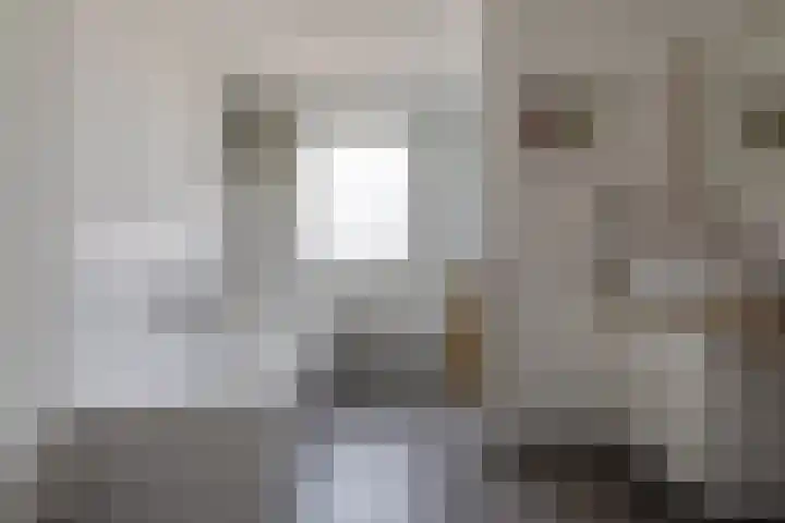 Weijenborgerdijk 49 Lichtenvoorde thumbnail 36