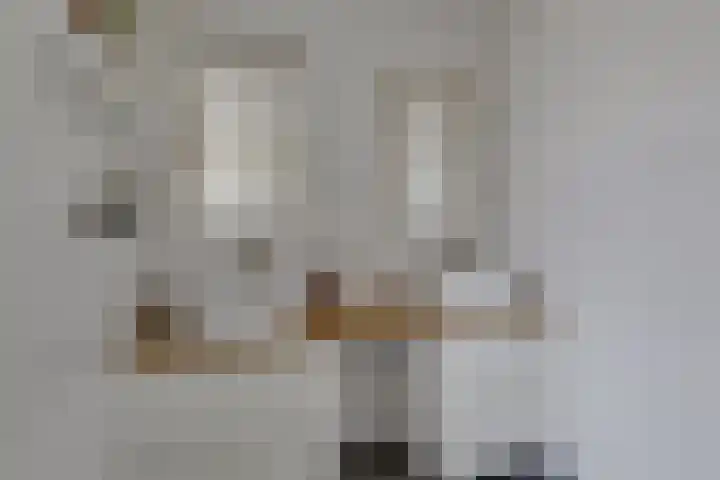 Weijenborgerdijk 49 Lichtenvoorde thumbnail 37