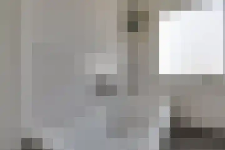 Weijenborgerdijk 49 Lichtenvoorde thumbnail 38