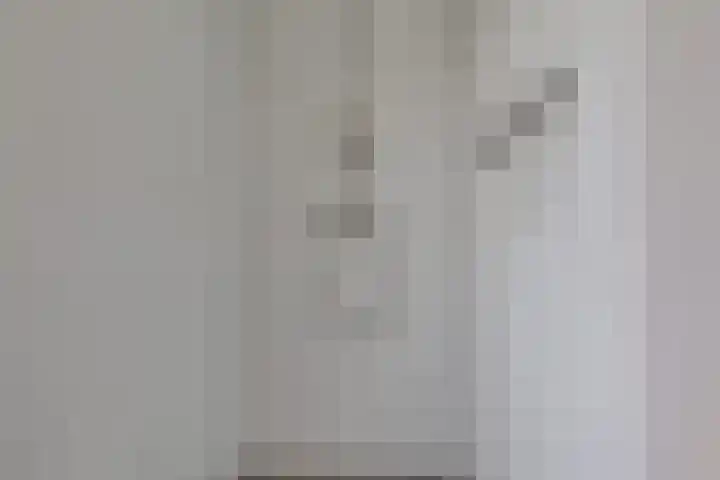 Weijenborgerdijk 49 Lichtenvoorde thumbnail 39