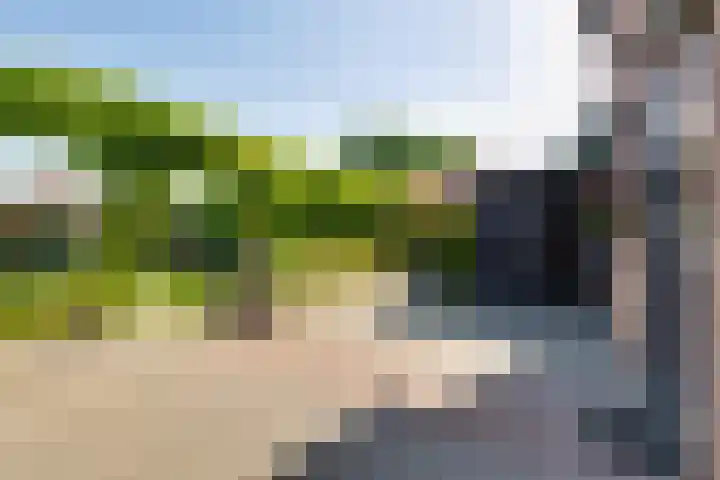 Weijenborgerdijk 49 Lichtenvoorde thumbnail 41