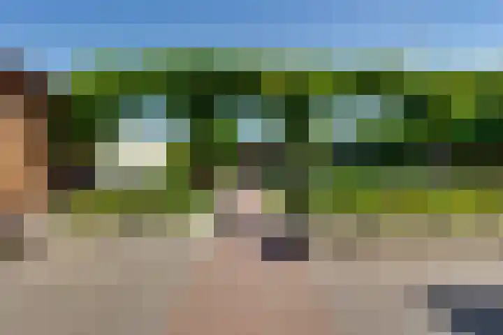 Weijenborgerdijk 49 Lichtenvoorde thumbnail 42