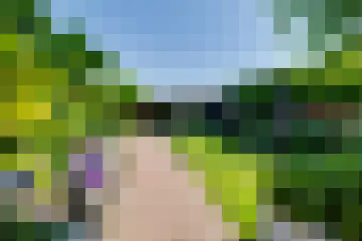 Weijenborgerdijk 49 Lichtenvoorde thumbnail 44