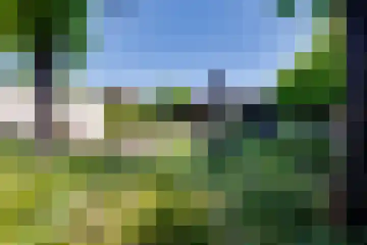 Weijenborgerdijk 49 Lichtenvoorde thumbnail 45