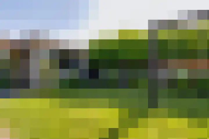 Weijenborgerdijk 49 Lichtenvoorde thumbnail 46