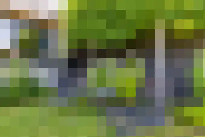Weijenborgerdijk 49 Lichtenvoorde thumbnail 47