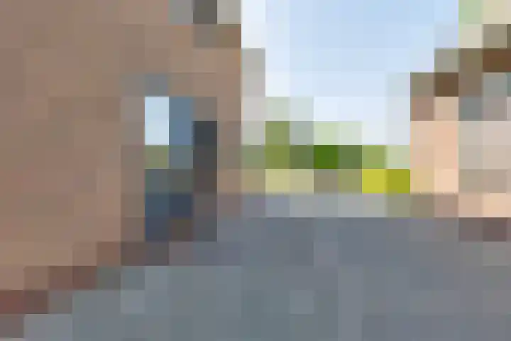 Weijenborgerdijk 49 Lichtenvoorde thumbnail 5