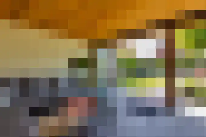 Weijenborgerdijk 49 Lichtenvoorde thumbnail 50