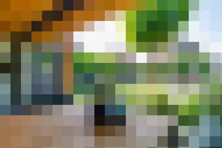 Weijenborgerdijk 49 Lichtenvoorde thumbnail 52