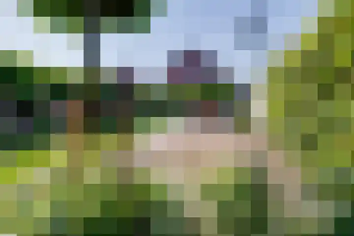 Weijenborgerdijk 49 Lichtenvoorde thumbnail 56