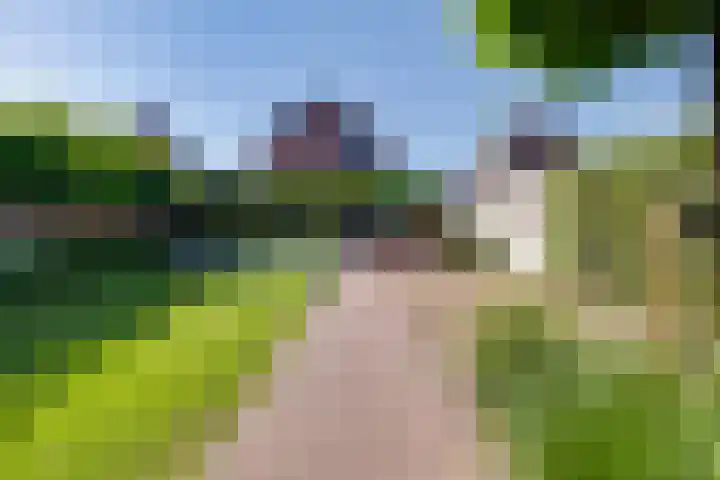 Weijenborgerdijk 49 Lichtenvoorde thumbnail 57