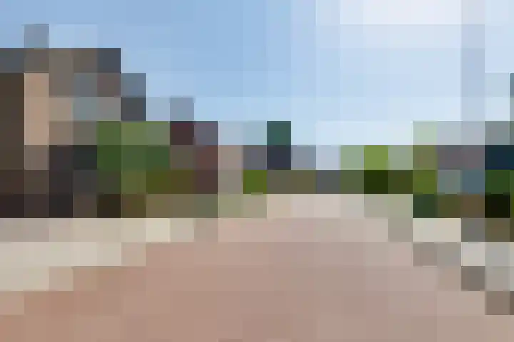 Weijenborgerdijk 49 Lichtenvoorde thumbnail 58