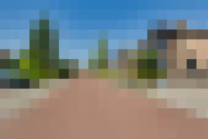 Weijenborgerdijk 49 Lichtenvoorde thumbnail 59