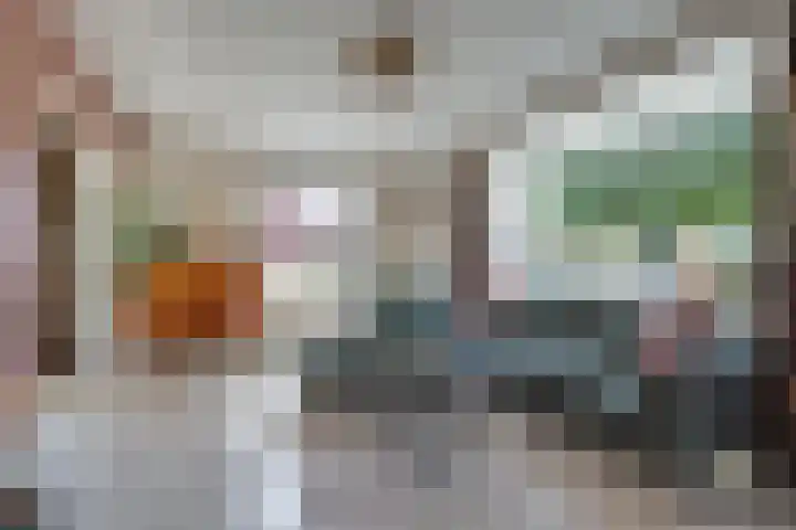 Weijenborgerdijk 49 Lichtenvoorde thumbnail 7