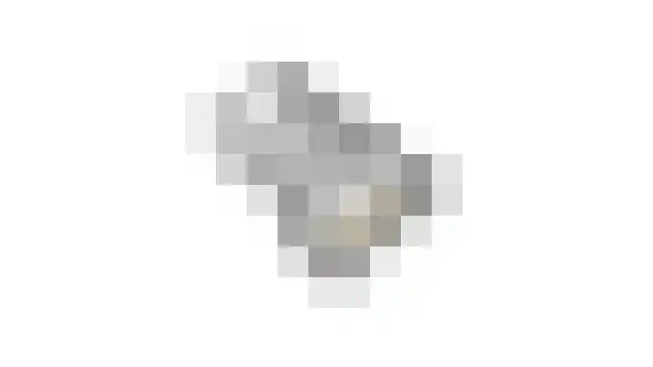 Weijenborgerdijk 49 Lichtenvoorde thumbnail 71