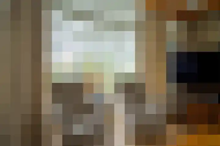 Weijer 6 Milheeze thumbnail 10