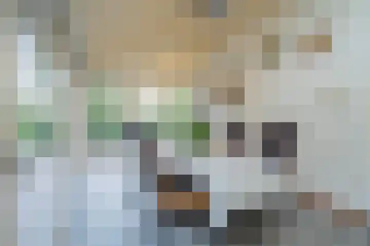 Weijer 6 Milheeze thumbnail 18