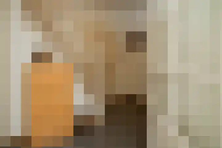 Weijer 6 Milheeze thumbnail 25
