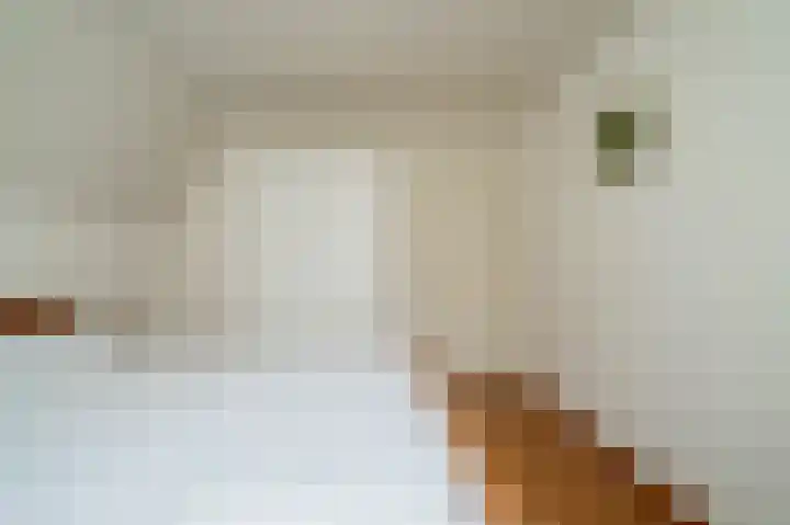 Weijer 6 Milheeze thumbnail 39