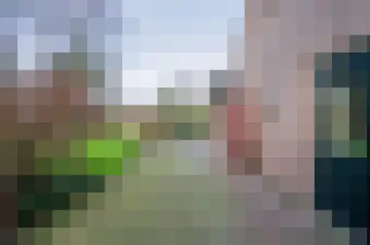 Weijer 6 Milheeze thumbnail 55
