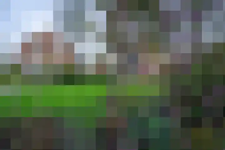 Weijer 6 Milheeze thumbnail 59