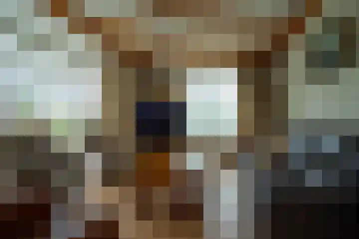 Weijer 6 Milheeze thumbnail 9