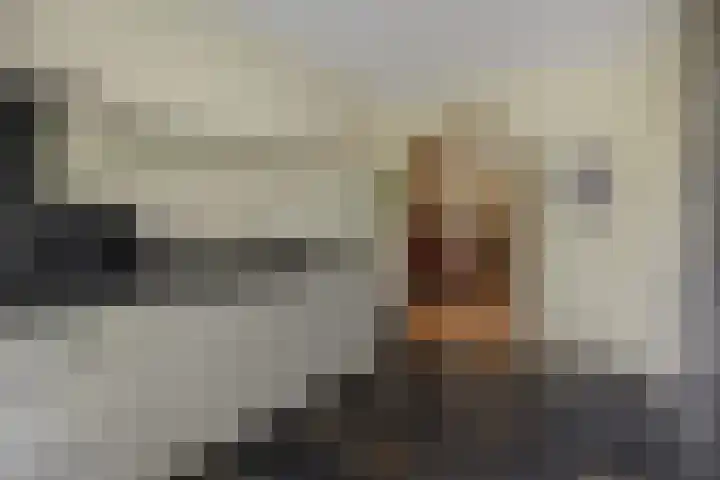 Weijer 8 Milheeze thumbnail 11