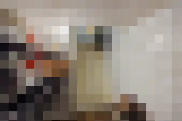 Weijer 8 Milheeze thumbnail 15
