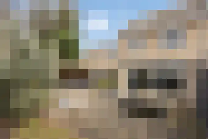 Weijer 8 Milheeze foto 2