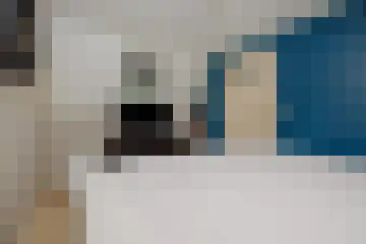 Weijer 8 Milheeze thumbnail 25