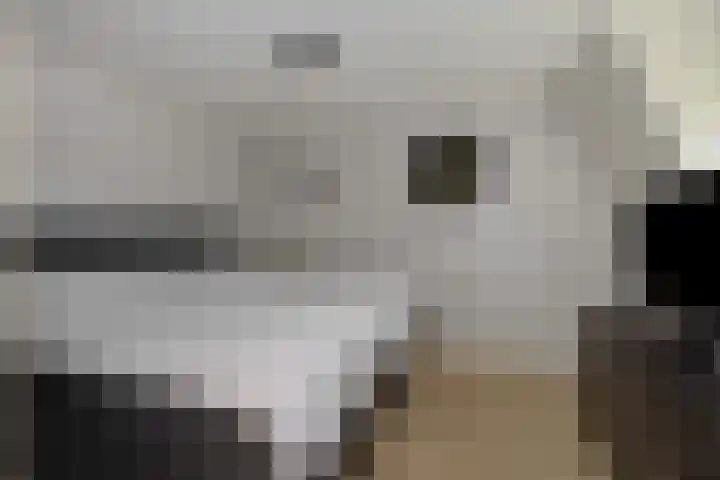 Weijer 8 Milheeze thumbnail 26