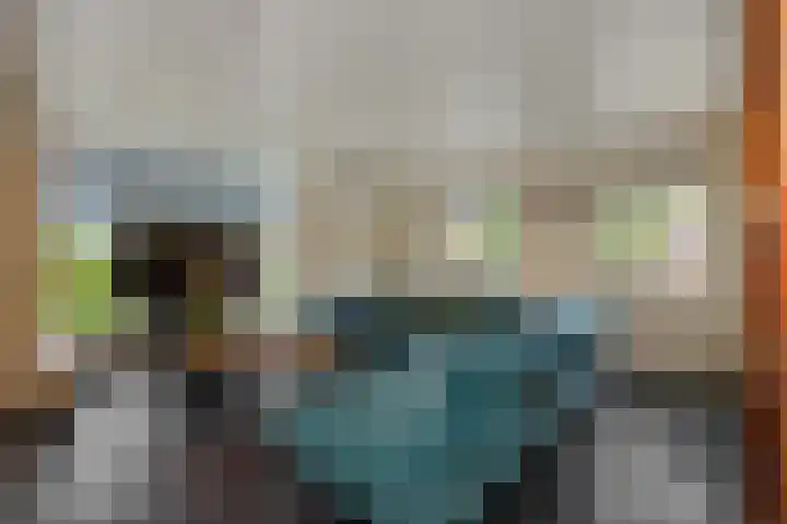 Weijer 8 Milheeze foto 3