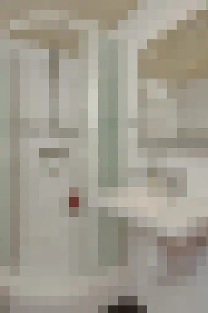 Weijer 8 Milheeze thumbnail 31