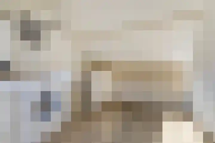 Weijer 8 Milheeze thumbnail 34