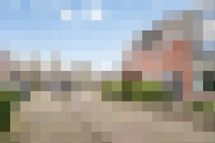 Weijer 8 Milheeze thumbnail 35