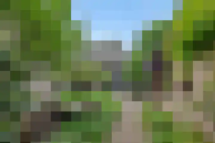 Weijer 8 Milheeze thumbnail 36