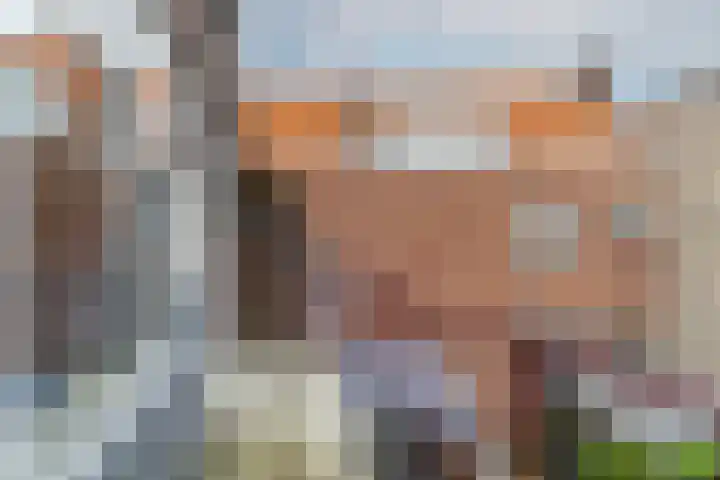 Weijer 8 Milheeze thumbnail 37